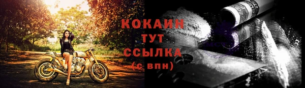 PSILOCYBIN Балабаново